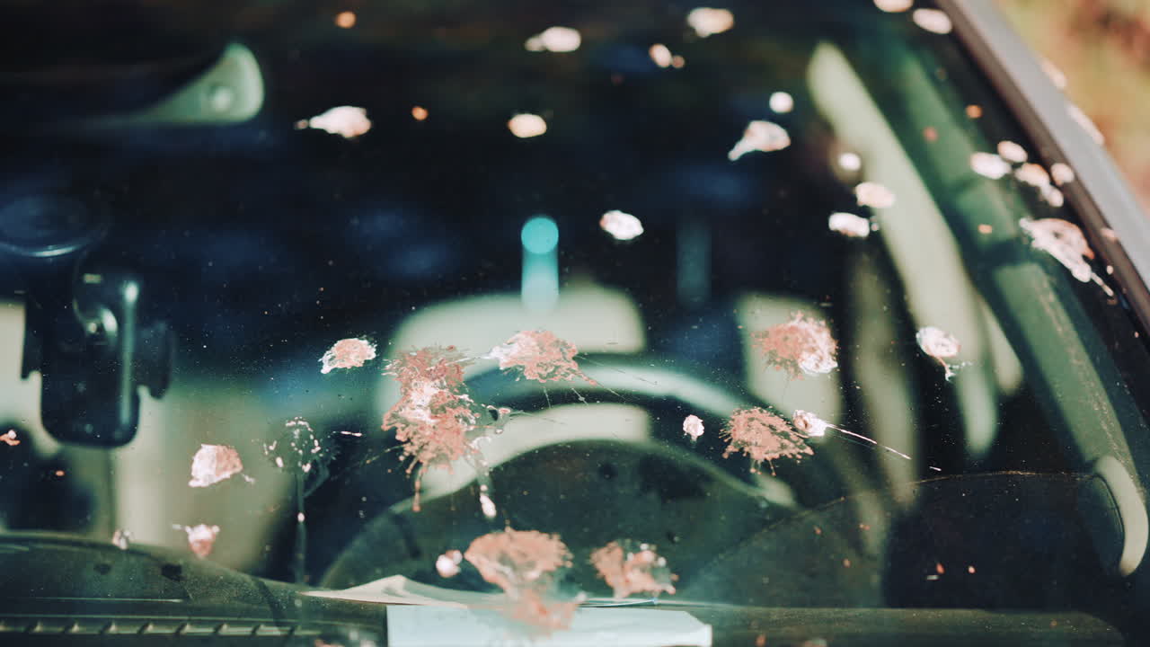 Close up of a car windshield dirty with multiple bird droppings