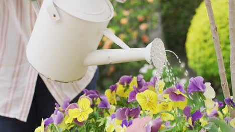 Mid-section-of-senior-african-american-woman-wearing-watering-plants-in-the-garden