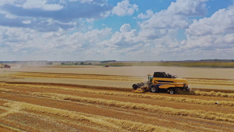 harvester reaped wheat in the field. combine harvester agriculture machine harvesting golden ripe wheat field