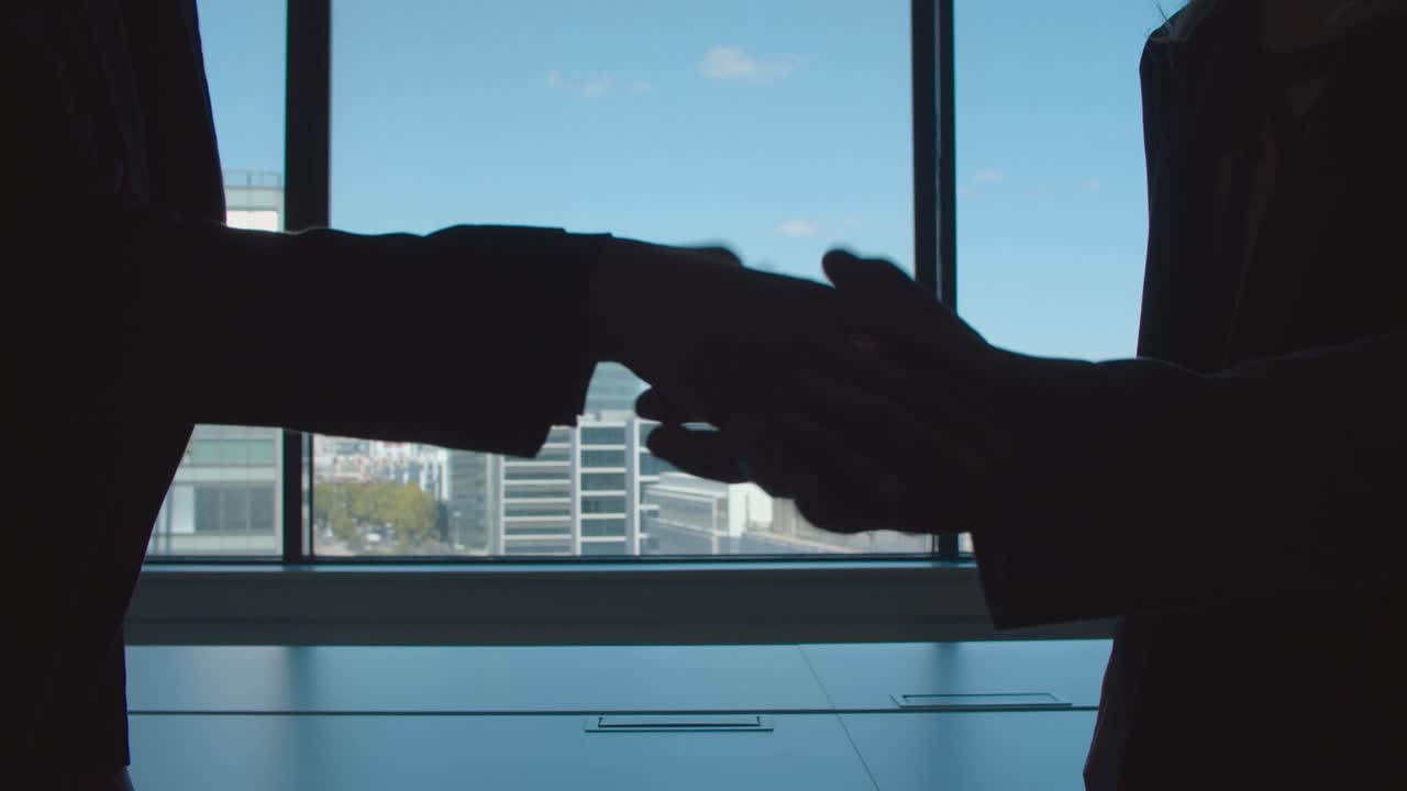 Silhouettes of business partners standing against window