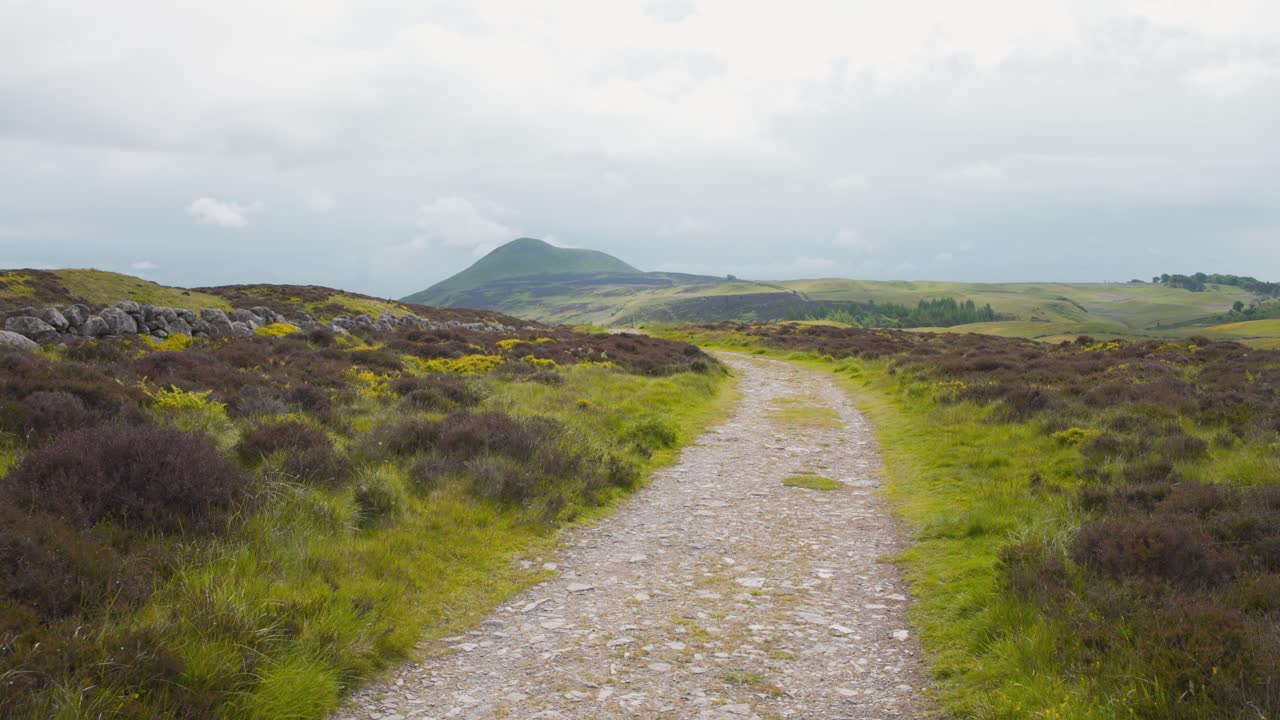 camino de grava que serpentea a través de lomond hills heather highland, escocia