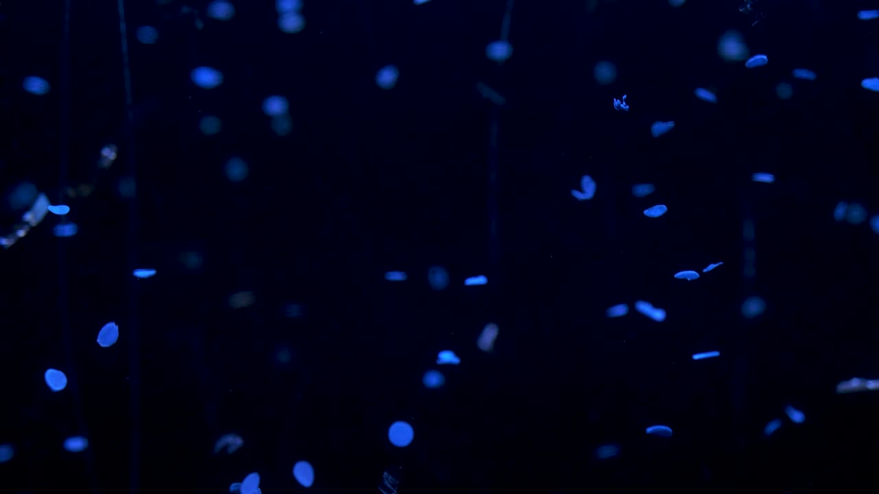 푸른 빛이 떠있는 물 속의 미세 플라스틱