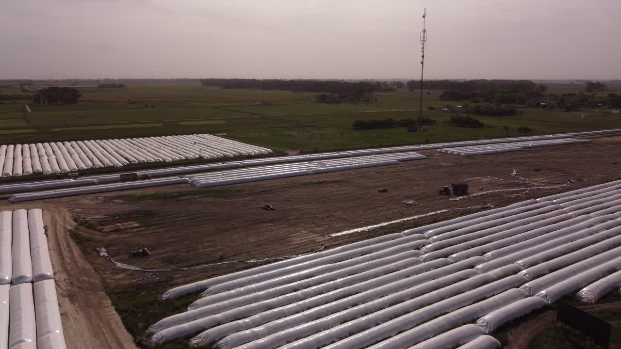 tractor tomando cosecha de sacos de silo de granja en la provincia de buenos aires