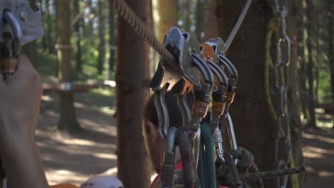 male hand taking carabiner with rope for extreme climbing tree in adventure park