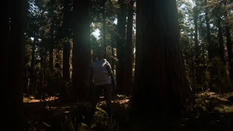 Mujer-En-El-Parque-Nacional-De-Yosimite-Cerca-De-Sequoia