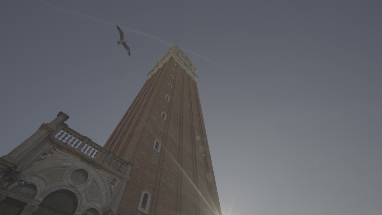 Venice Campanile, St. Mark's Square