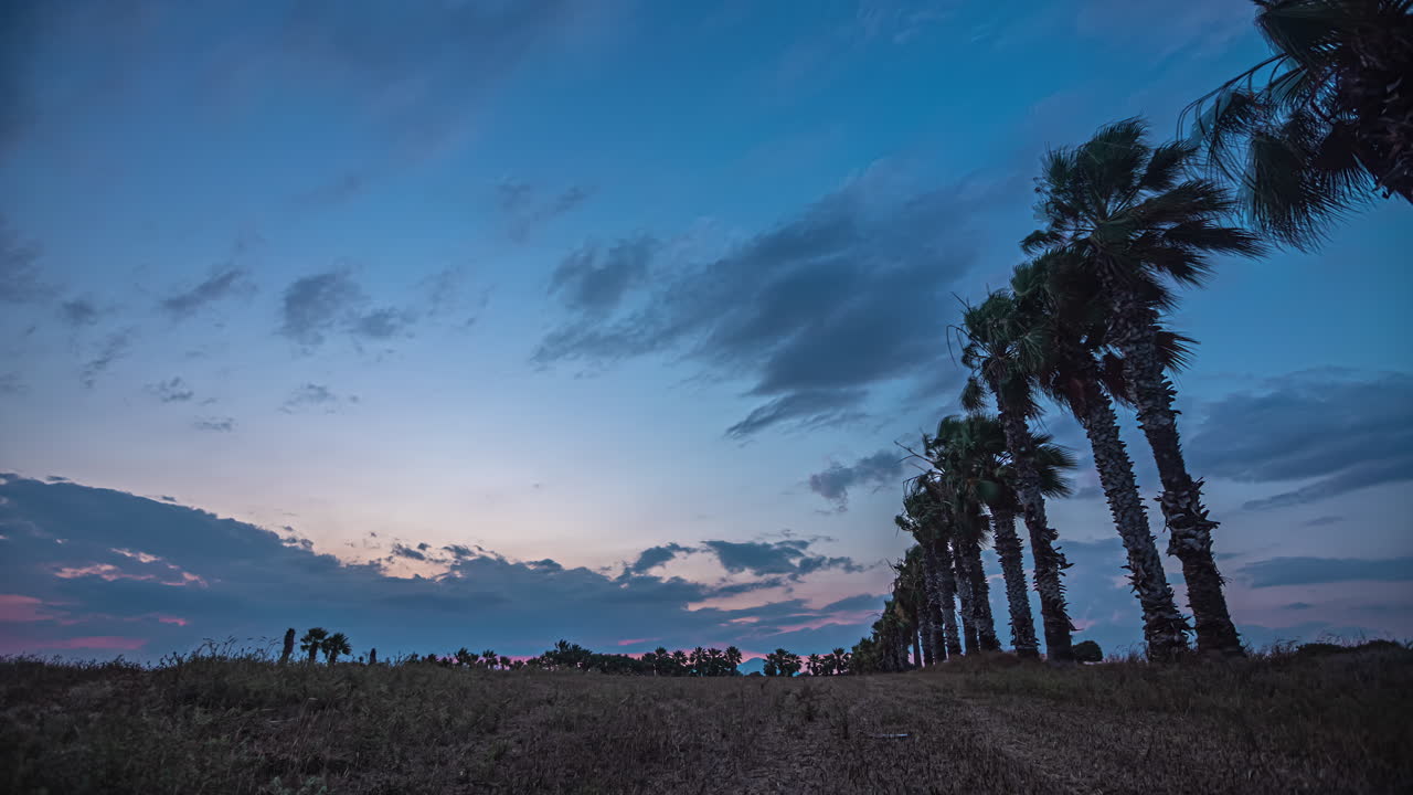 Paesaggio esotico di palme e nuvole tempestose che scorrono sopra, time lapse dal giorno alla notte