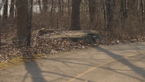 large stone boulder on the edge of a pavement bike path surrounded by trees on far side on a spring day