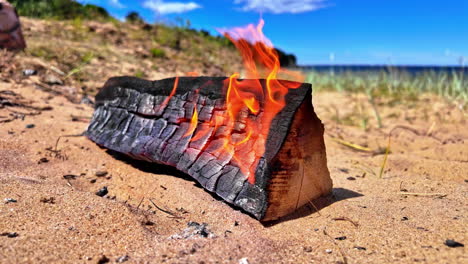 a burning log on a sandy beach with the ocean in the background