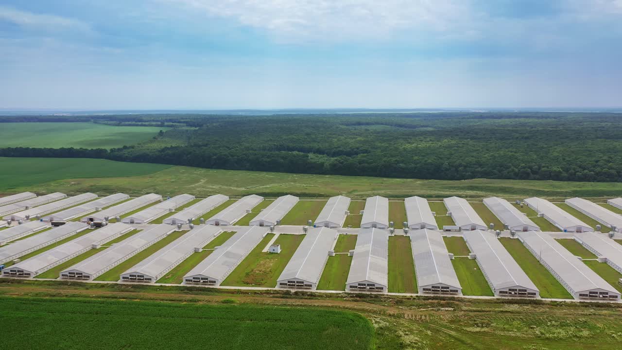 Rows of white buildings for farming outdoors. Contemporary farmland in the rural place. Exterior of long farm barns for livestock. Camera moves right.