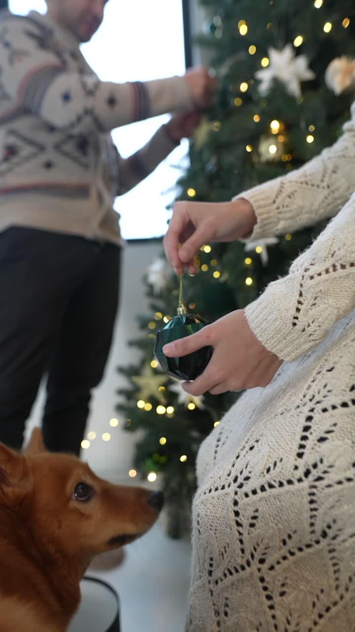 perro mirando el ornamento de navidad