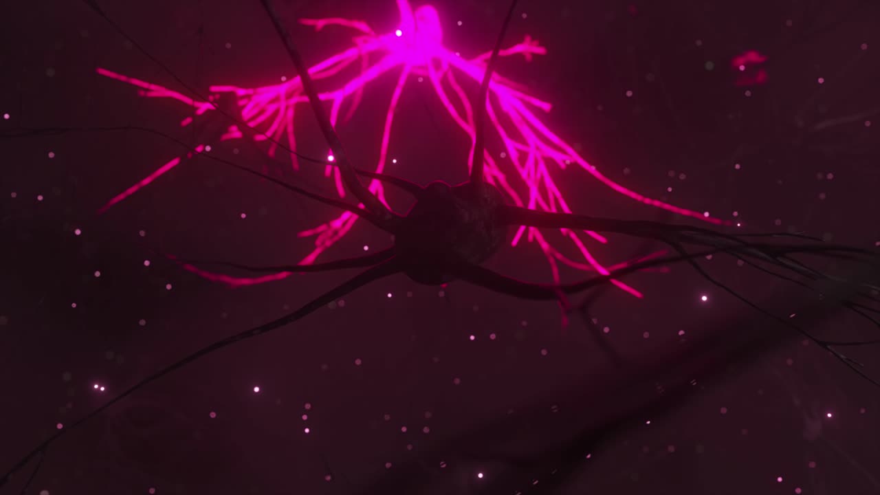 뉴런 일러스트레이션