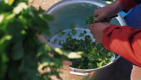 Chopping-parsley-into-big-pot-rack-focus-slow-motion-outdoors-sunshine