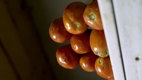 tomatoes available for purchase at a supermarket - vertical shot