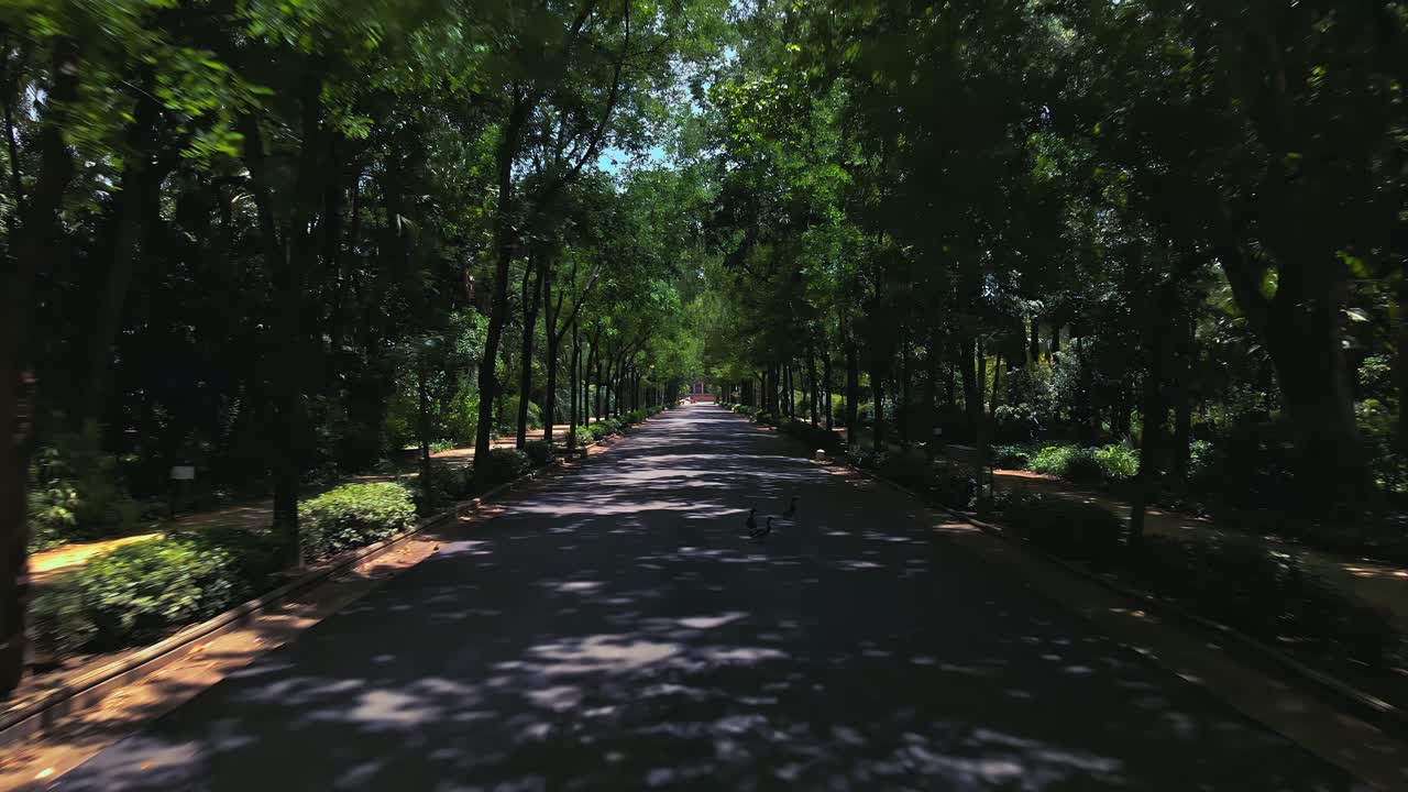 공원에서 길을 따라 이동