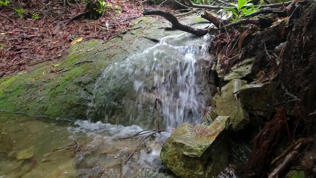 el arroyo rueda sobre la roca de musgo en las montañas de los apalaches cerca de linville falls nc