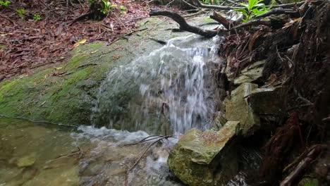 Bach-Rollt-über-Moosigen-Felsen-In-Den-Appalachen-In-Der-Nähe-Von-Linville-Falls,-North-Carolina