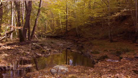 Niedrige-Drohnenaufnahmen-über-Einem-Kleinen-Fluss-Im-Herbst-7