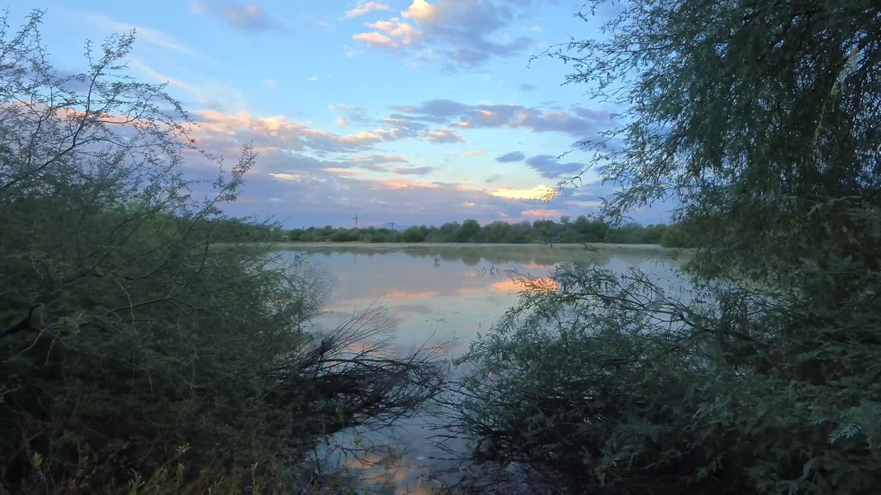 Magical twilight tilt up showing dark bushes in foreground and a perfectly still lake glowing with deep blue and purple reflections in a tranquil wetland