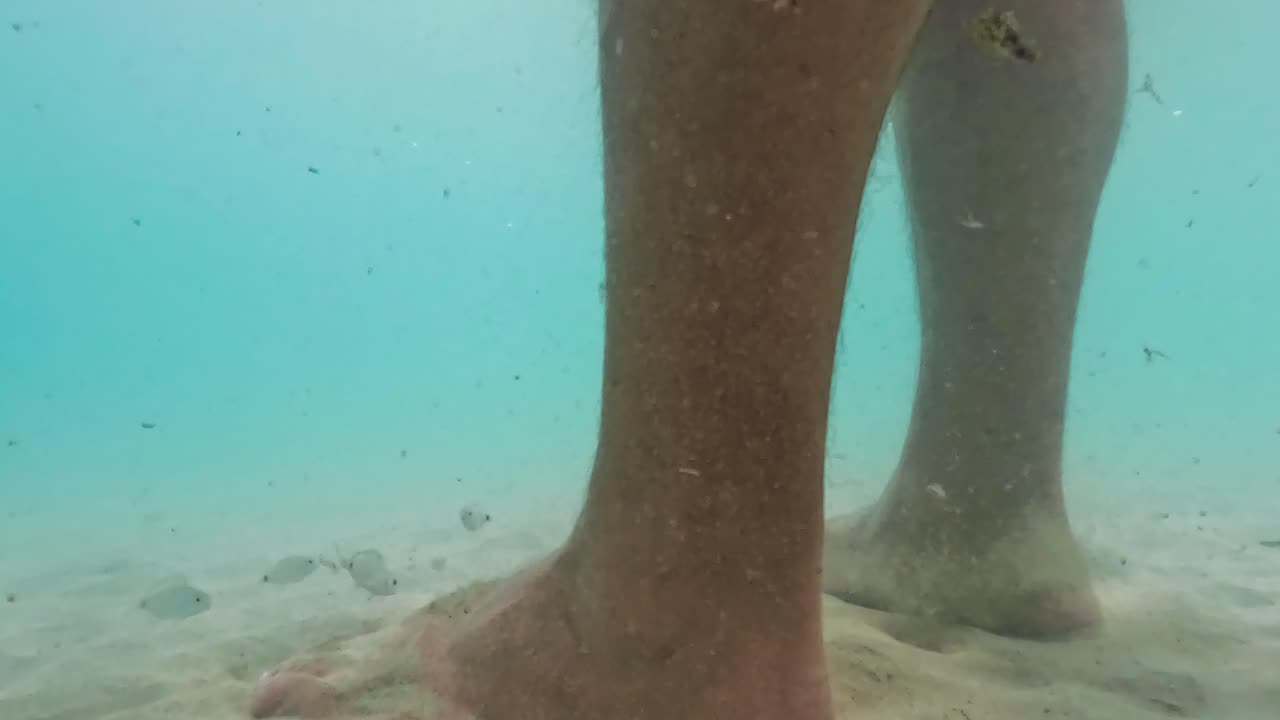 Unikke slowmotion undervandsoptagelser af små fisk, der nipper til hud på menneskelige ben og fødder i havvand
