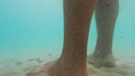 unique slow motion underwater footage of small fish eating human legs and feet skin in sea water