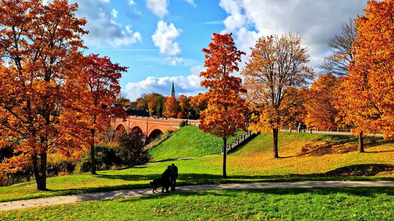 Picturesque shot of a couple strolling with a dog in a beautiful green park with trees turned orange due to fall season