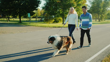 pareja paseando perro pastor australiano