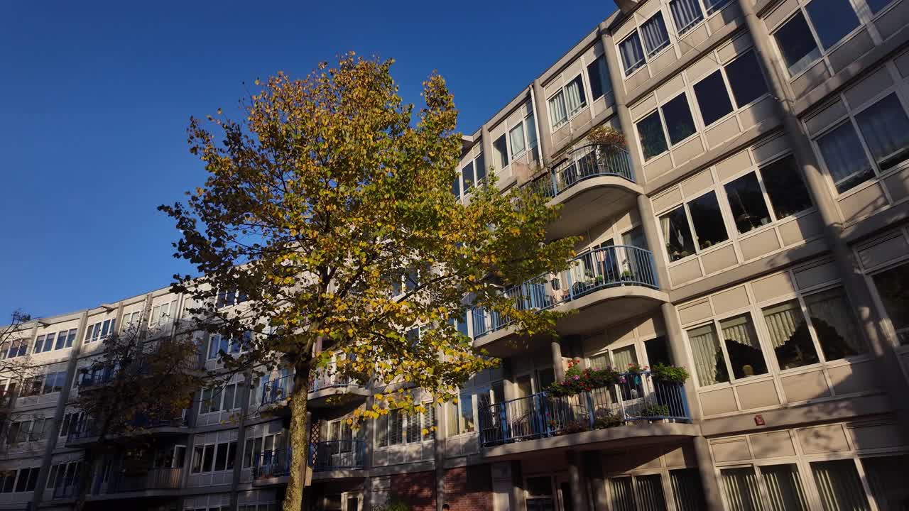 Moderno complesso di appartamenti curvo con balconi visto attraverso gli alberi autunnali ad Amsterdam. Architettura residenziale a più piani sotto un cielo azzurro con fogliame autunnale dorato in primo piano