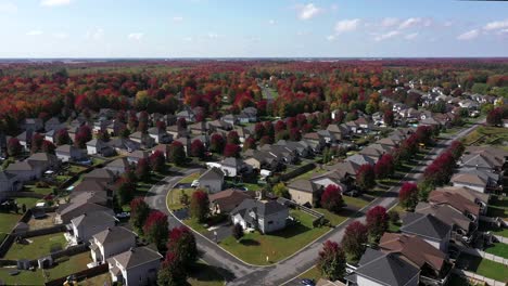 fall coloured neighbourhood from above