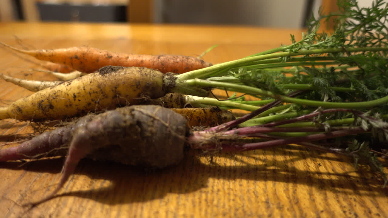 Home grown carrots, just picked from the garden, close up shot from side