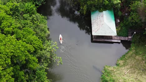 Canoeist-surrounded-by-dense-vegetation,-trees,-and-the-sounds-of-wildlife