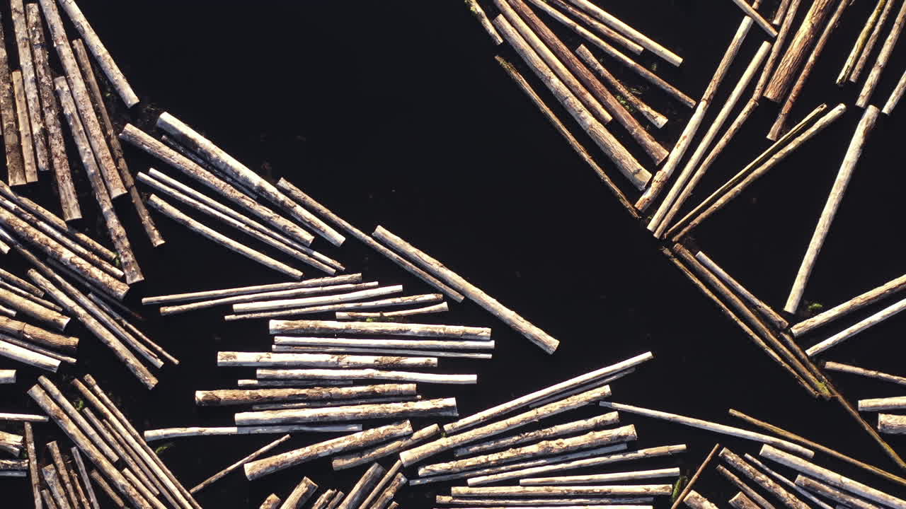 제재소에 떠 있는 나무 통나무