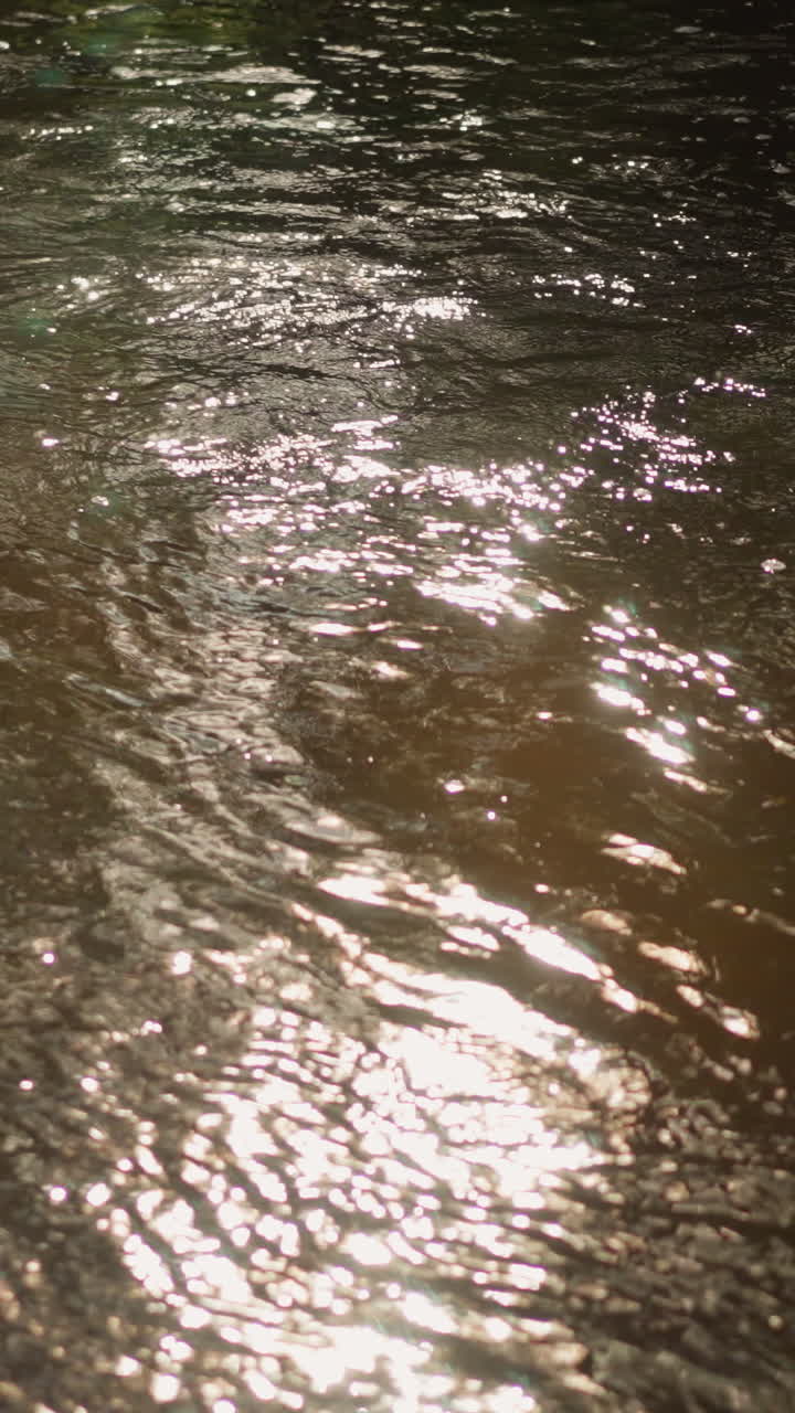 Superficie de río iluminada por el sol con ondulaciones brillantes, estudio en primer plano de agua resplandeciente que refleja la luz solar, corriente suave, toques de franja verde, cálidos reflejos dorados, ambiente tranquilo ideal