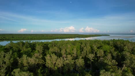 Antena-De-Las-Copas-De-Los-árboles-En-La-Isla-De-Leebong-En