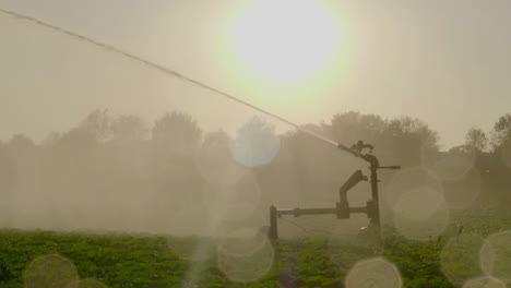 180-fps---Large-sprinkler-against-setting-sun