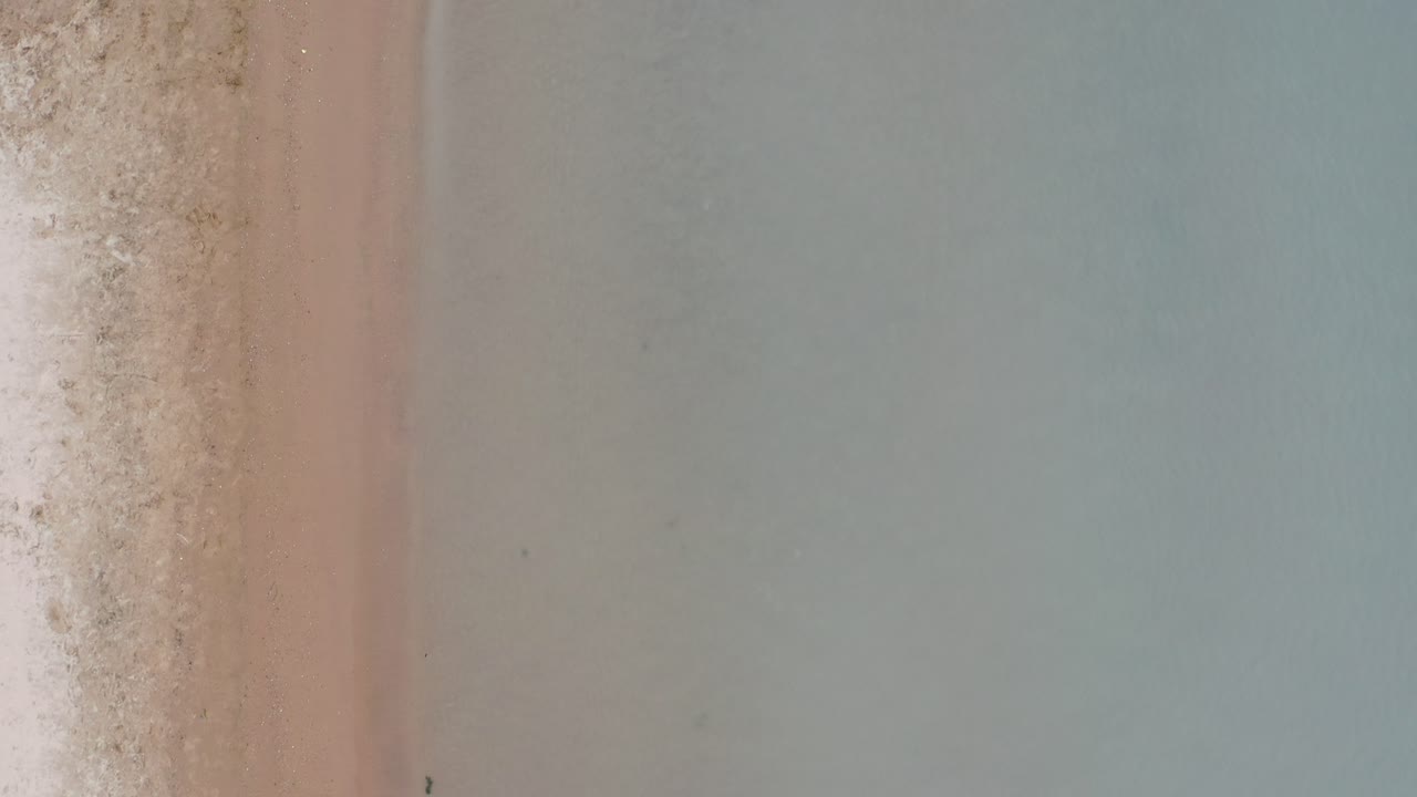 toma aérea que comienza con una vista de pájaro de la playa, mientras levanta suavemente el cardán para revelar la ciudad de chicago