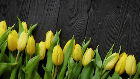 Beautiful-yellow-tulips-on-black-rustic-wooden-background--Top-view
