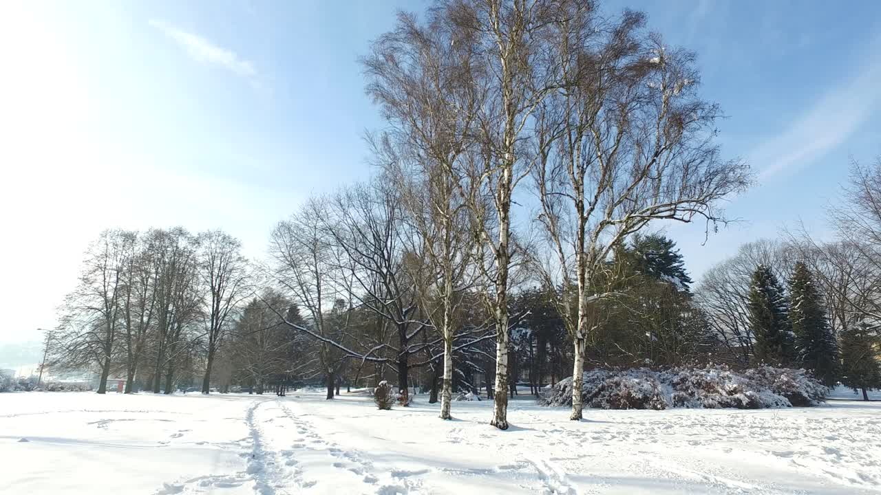 WINTER SNOW IN THE PARK