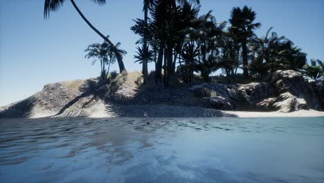 isla tropical de las maldivas en el océano
