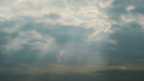 Scenic-view-of-the-sky-with-sun-rays-shining-through-the-sky,-birds-flying