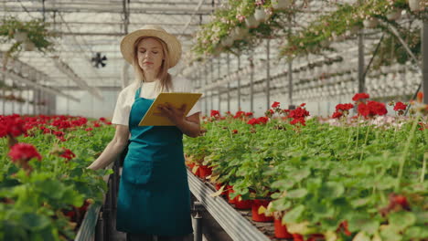 mujer inspeccionando plantas en un invernadero