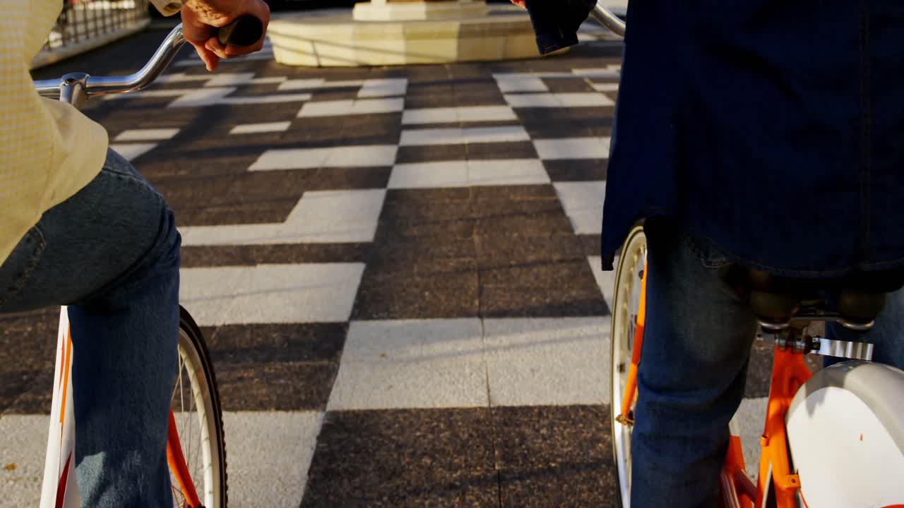 pareja de ancianos en bicicleta en el paseo marítimo 4k