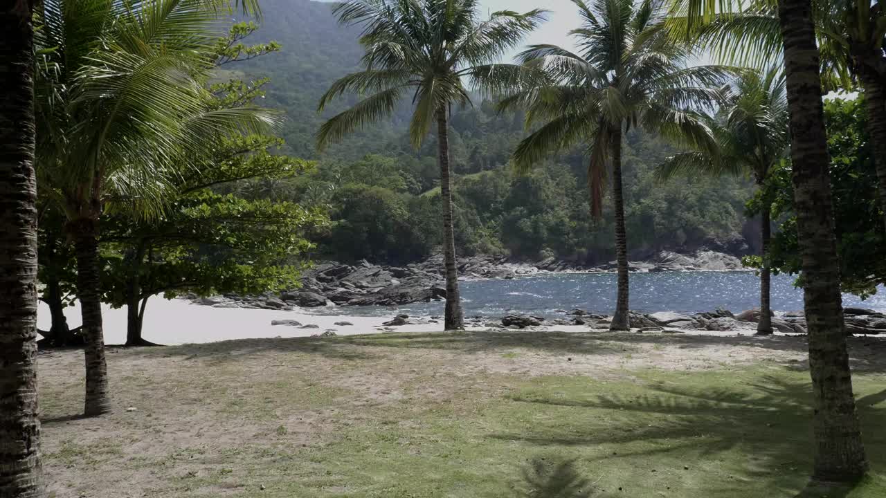 caminando a través de exuberantes palmeras verdes abiertas hacia la vista frontal de la playa de la cala de arena