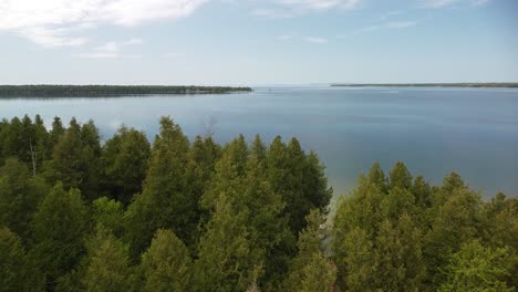 Forest-Flyover-Archipel-Antenne,-Hessel,-Michigan