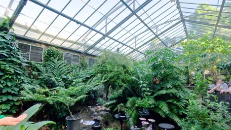 visitors explore lush butterfly habitat