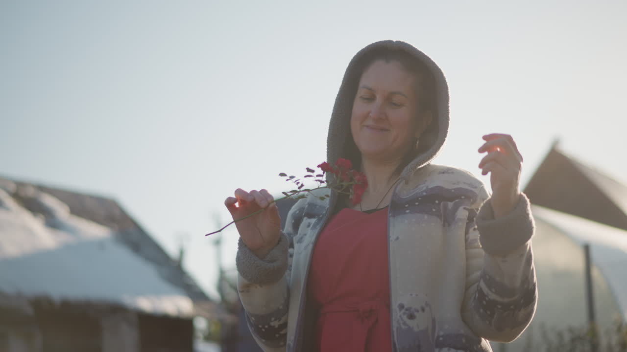 Donna che annusa rose vicino alla serra. Donna con maglione con cappuccio che apprezza il profumo floreale all'aperto. Donna serena con maglione con cappuccio che assapora i fiori del giardino sotto la luce del sole e i tetti.