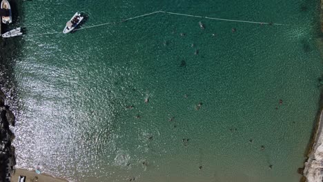 People-swimming-in-clear-blue-water-behind-safety-buoy-line,-Drone-top-down