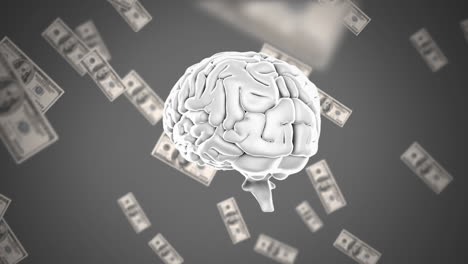 human brain with dollar bills in the background