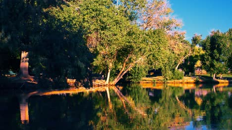 peaceful summer pond in las vegas suburbs