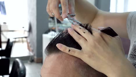 professional the barber cuts the man's hair in barber shop. the woman collects the tips of her hair between her fingers and cuts them with scissors. hair care.